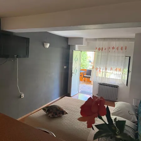 Apartment Ivica House
