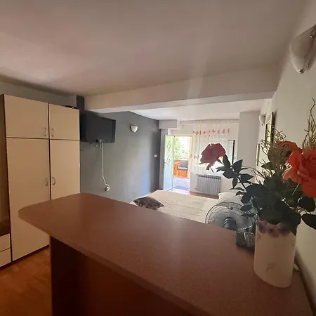 Ivica House Apartment *