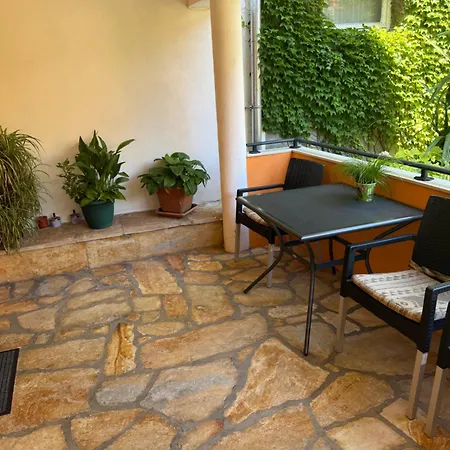 Apartment Ivica House *
