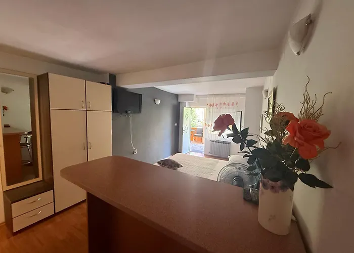 Ivica House Apartamento *
