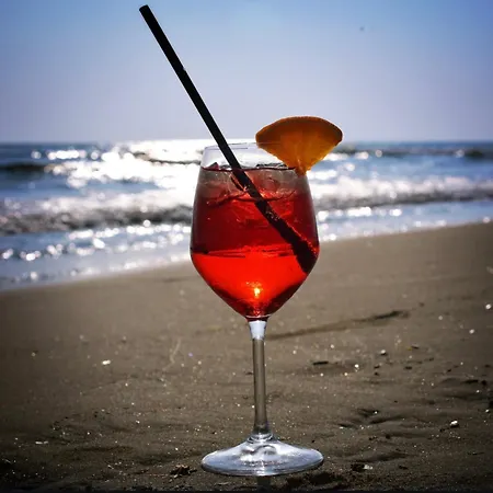 Apartament Ivica House *