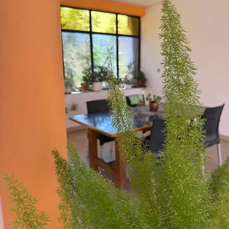 Ivica House Apartment